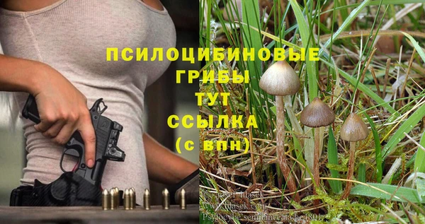 Альфа ПВП Арсеньев