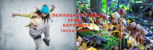 Альфа ПВП Арсеньев